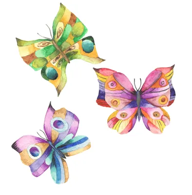 Искусные разноцветные бабочки, захваченные на фото