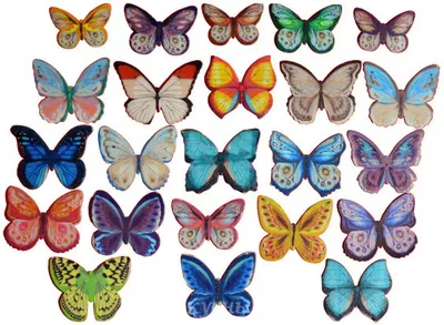 Фотографии разноцветных бабочек: нежность и грация
