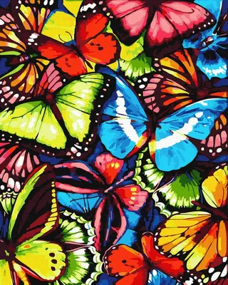 Загадочная красота разноцветных бабочек на фото