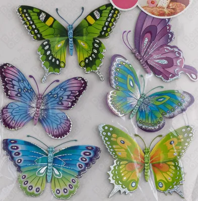 Фотографии разноцветных бабочек: натуральное чудо