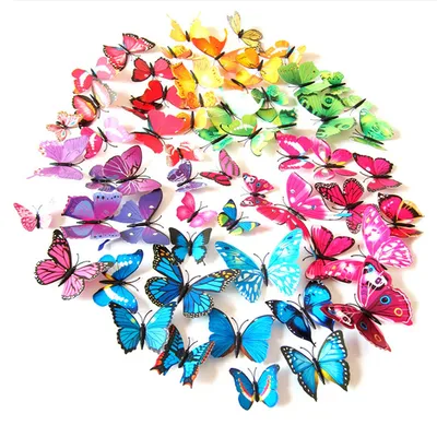 Удивительные разноцветные бабочки на фото