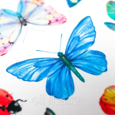 Символы лета: разноцветные бабочки на фото