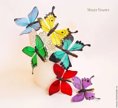 Прекрасное в мельчайших деталях: фото разноцветных бабочек