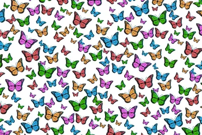 Цирк на крыльях: разноцветные бабочки на фото