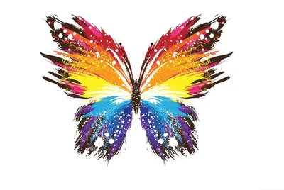 Фото разноцветных бабочек: красота в движении