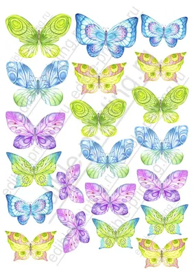 Необычная палитра: разноцветные бабочки на фотографиях