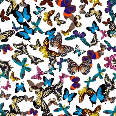Фото разноцветных бабочек: встреча с природной гармонией