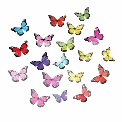 Незабываемая красота разноцветных бабочек на фото