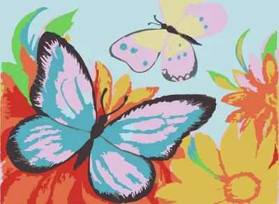 Мир таинственных цветных существ: фото разноцветных бабочек