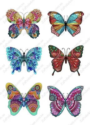 Разноцветные бабочки на фотографиях: отражение истинной красоты