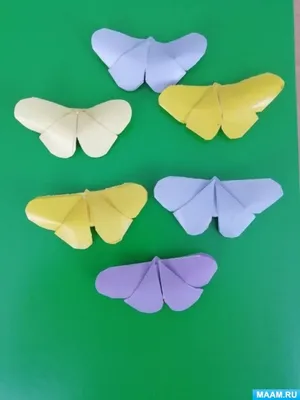 Фотографии разноцветных бабочек: мягкость и воздушность