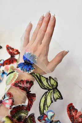 Фото разноцветных бабочек: красочная симфония