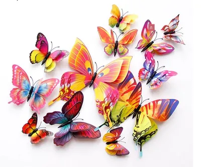 Фотографии разноцветных бабочек: живопись на крыльях