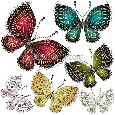 Фото разноцветных бабочек: встреча с истинной гармонией