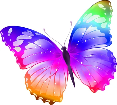 Настоящий калейдоскоп красоты: фото разноцветных бабочек