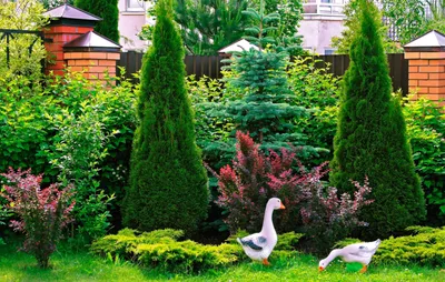 Волшебные пейзажи: прекрасные фотографии природы