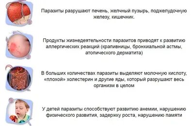 Картинки видов паразитов в организме человека: выбор размера