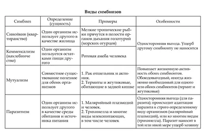 Изображения паразитов: WebP формат