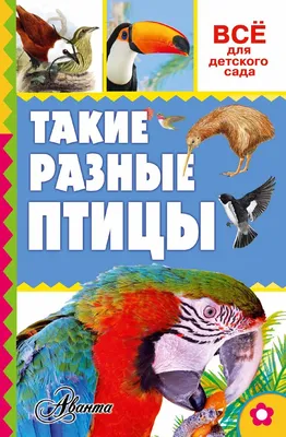 Впечатляющие снимки птиц разных размеров и видов для скачивания