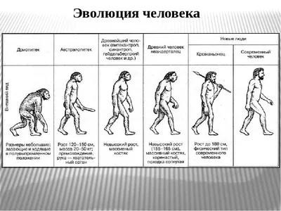 Скачивай в любом формате: Изображения человеческого прогресса