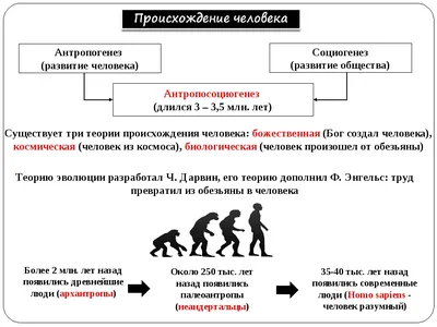 Эмоциональный аспект развития: Изображения, заставляющие задуматься