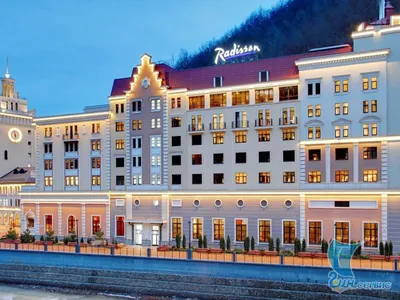 Разнообразие роз в Рэдиссон роза хутор - фото