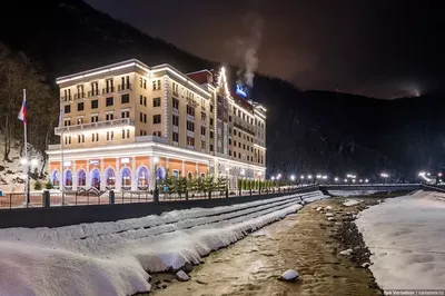 Фото роскошной розы в Рэдиссон роза хутор