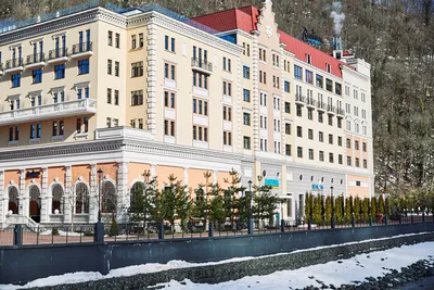 Фотография розы с Рэдиссон роза хутор: романтика в саду