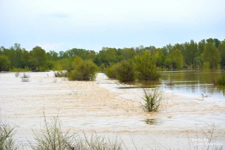 Вода в абакане. Южная дамба Абакан. Река Оша Омская область. Уровень реки Абакан в Абакане. Уровень воды в реке Абакан г Абакан.