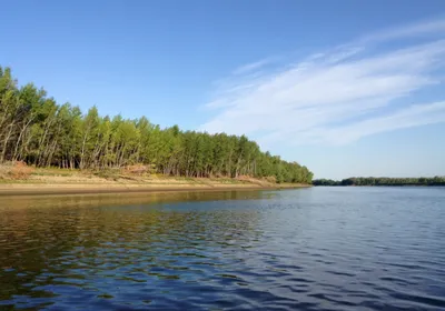 Впечатляющие арт-образы реки Ахтуба в HD качестве