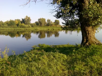 Впечатляющий вид на Реку Ахтуба: фото на андроид