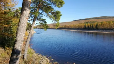 Откройте для себя Реку Алдан: Фотографии, которые позволят вам насладиться ее великолепием