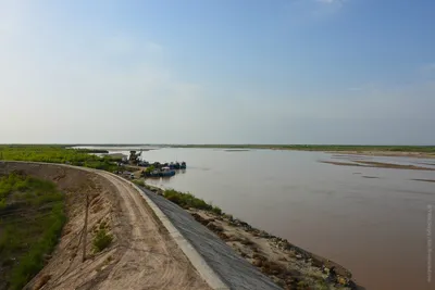 Река Амударья: Изображения, которые оживляют ваш экран