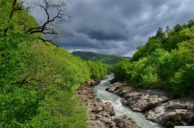 Река белая адыгея  фото