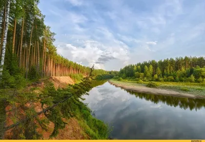 Фотоальбом Реки белая: Откройте для себя ее удивительные моменты