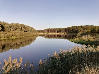 Загадочные воды реки Березина на снимках