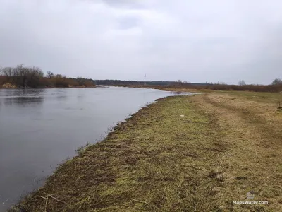 Очарование природы: фото реки Березина