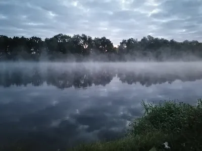 Откройте для себя красоту реки Березина на фото