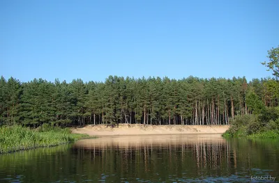 Загадочные воды реки Березина на фотографиях