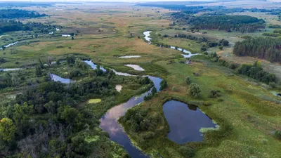 Путешествие в мир реки Битюг через фотографии