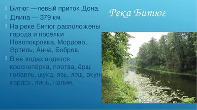 Гифка с красивыми фото реки Битюг