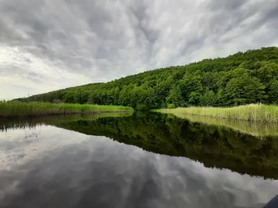 Фотка реки Битюг в 2024 году на рабочий стол