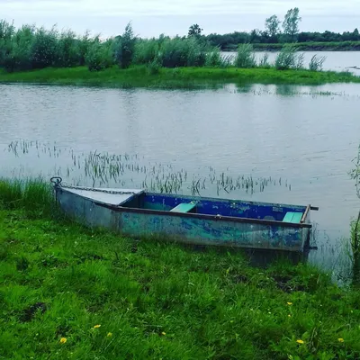 Величественные пейзажи реки Чулым на фото