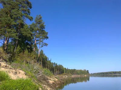 Фотографии реки Чулым - окна в природное великолепие