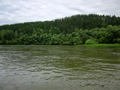 Река Чулым: великолепные фото, погружение в мир спокойствия и умиротворения