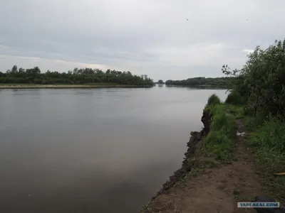 Величие Реки Чулым: Глубокие воды и богатое растительное разнообразие