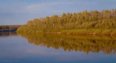 Фото Реки Чумыш: природная красота во всей своей величии