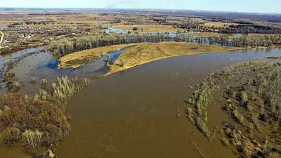 Бесплатные фото Реки Чумыш для использования