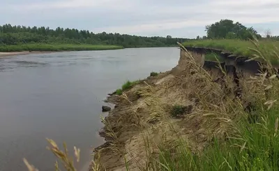 Удивительные фотографии Реки Чумыш в разных форматах