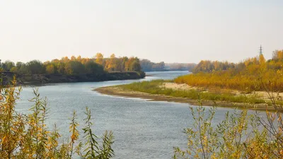 Фотографии Реки Чумыш: красота природы в объективе